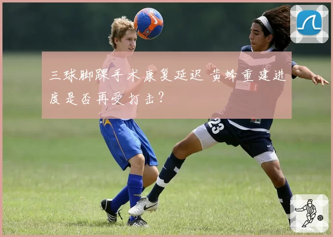 三球脚踝手术康复延迟 黄蜂重建进度是否再受打击?