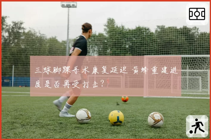 三球脚踝手术康复延迟 黄蜂重建进度是否再受打击?