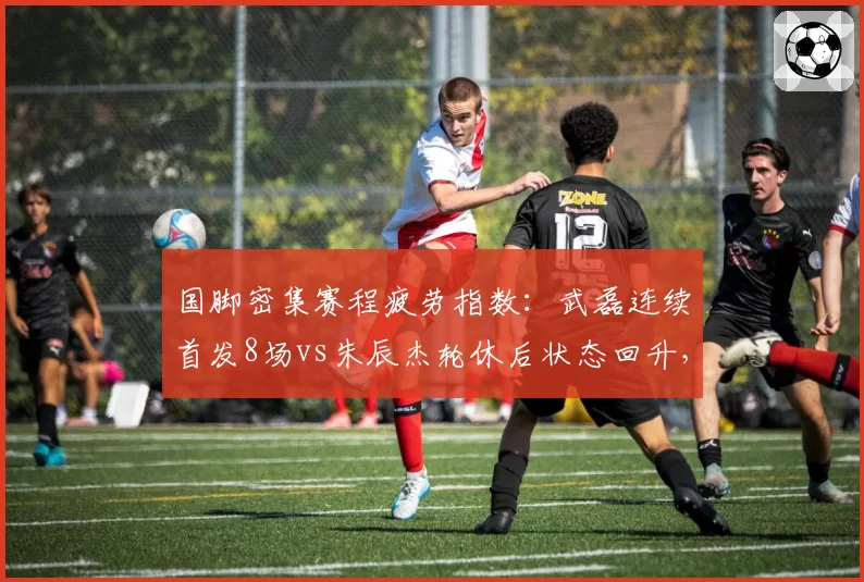 国脚密集赛程疲劳指数：武磊连续首发8场vs朱辰杰轮休后状态回升，体能管理影响走势